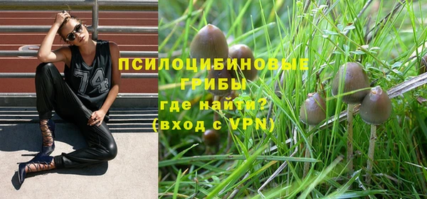 прущие крисы Абинск