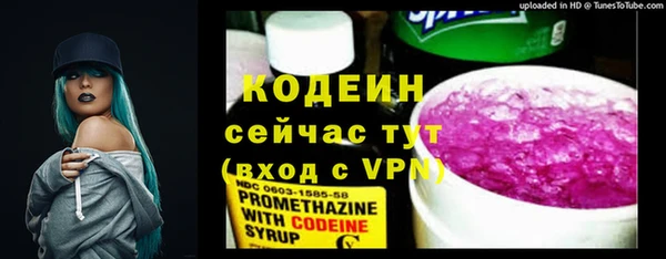 дмт Абаза