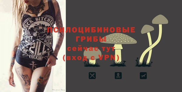 прущие крисы Абинск