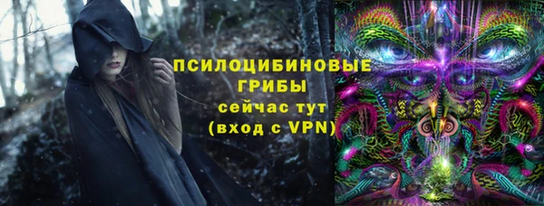 дмт Абаза