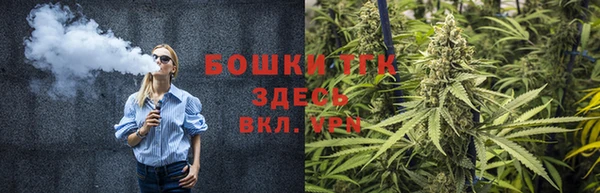 дмт Абаза