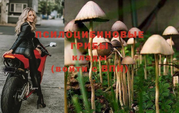 дмт Абаза