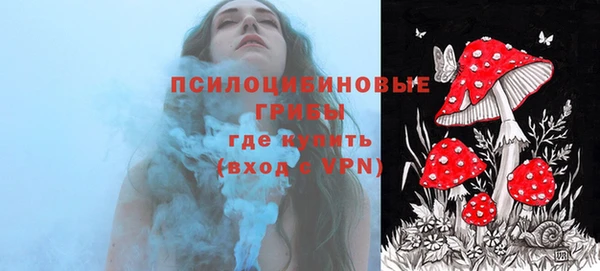 дмт Абаза