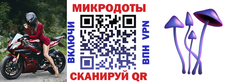 гидра зеркало Рославль мориарти состав Галлюциногенные грибы Psilocybe